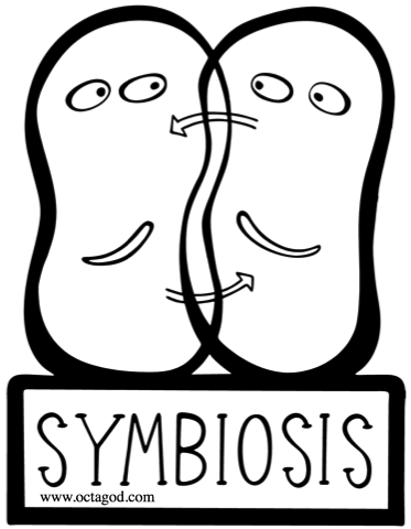 Symbiosis Vector Image