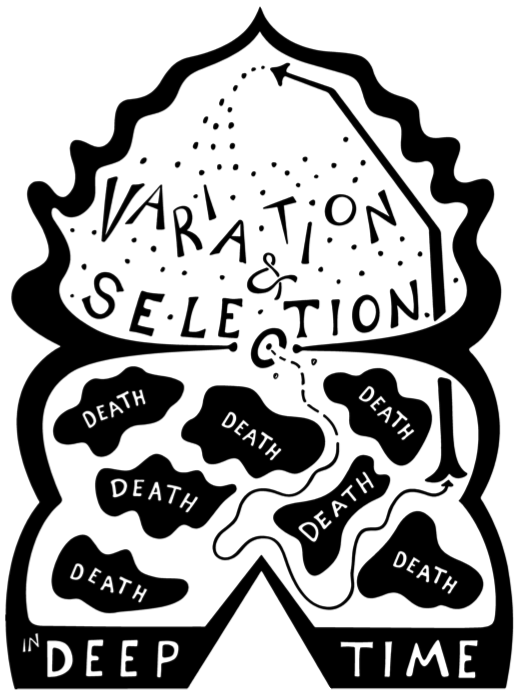 Variatio And Selection