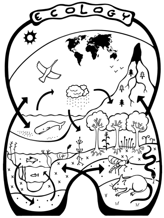 Ecology Vector Image