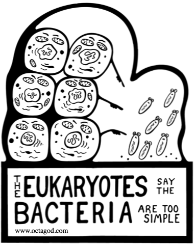 Eukaryotes say the Bacteria