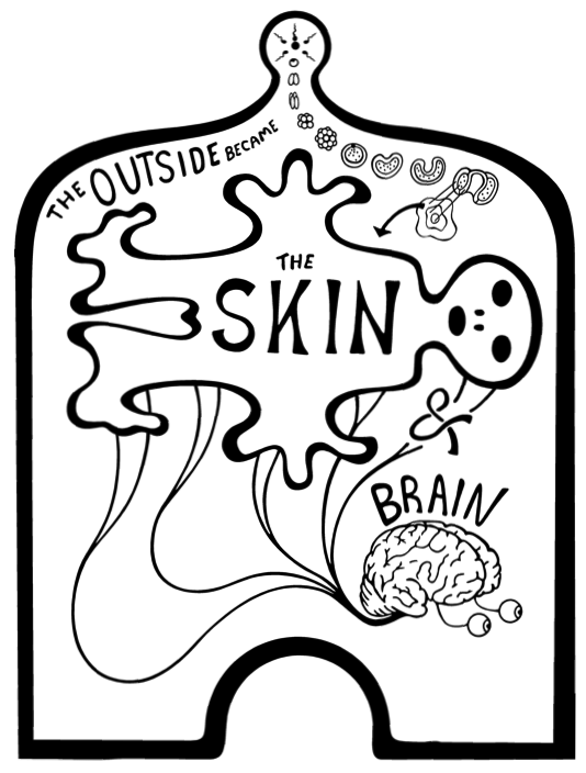 The Skin and Brain