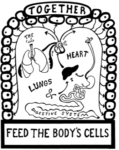 Feed The Body's Cells