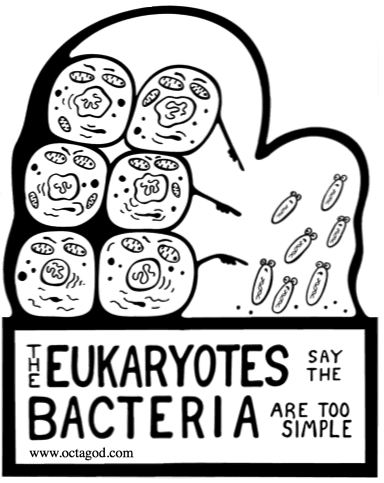 Eukaryotes have an inner nucleus but Bacteria do not. And a symbol for The Big Bang