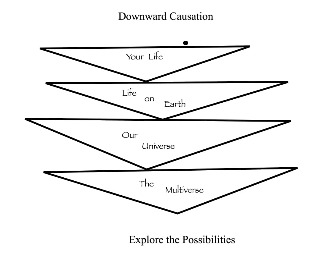 Downward causation diagram: life, universe, multiverse.