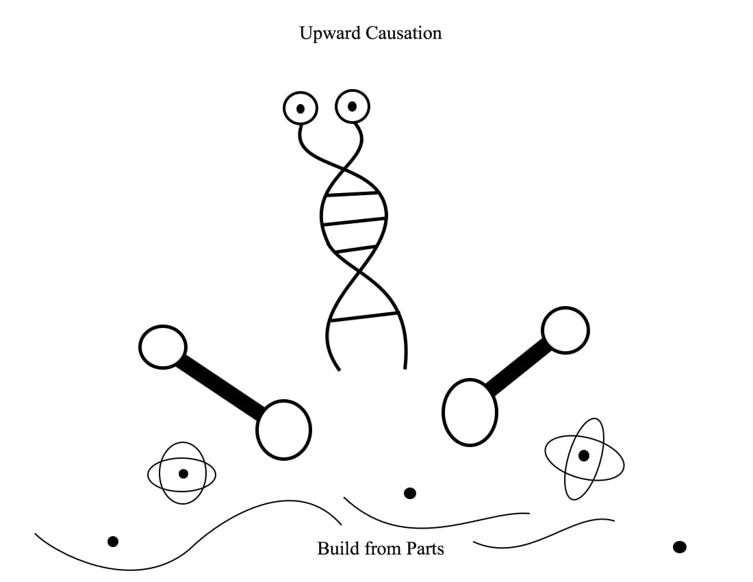 Diagram: Upward causation, build from parts.
