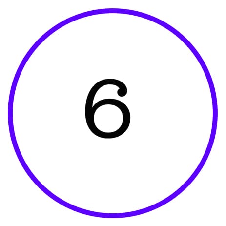 Purple circle with the number six.