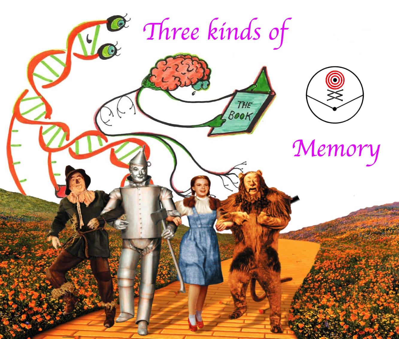 3mems
