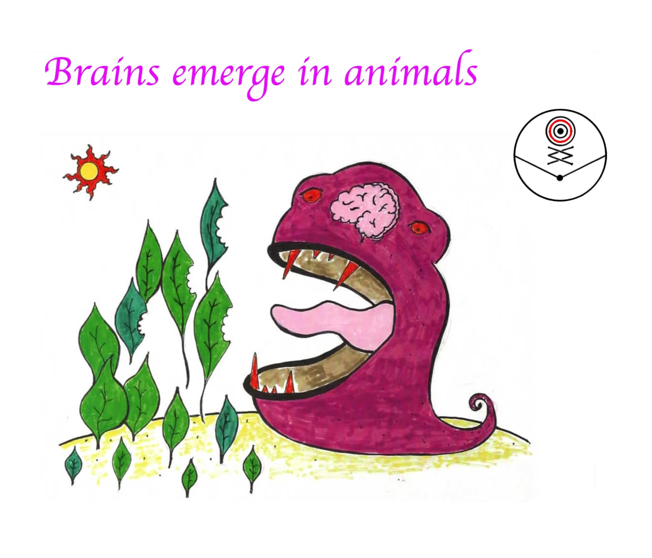 animals