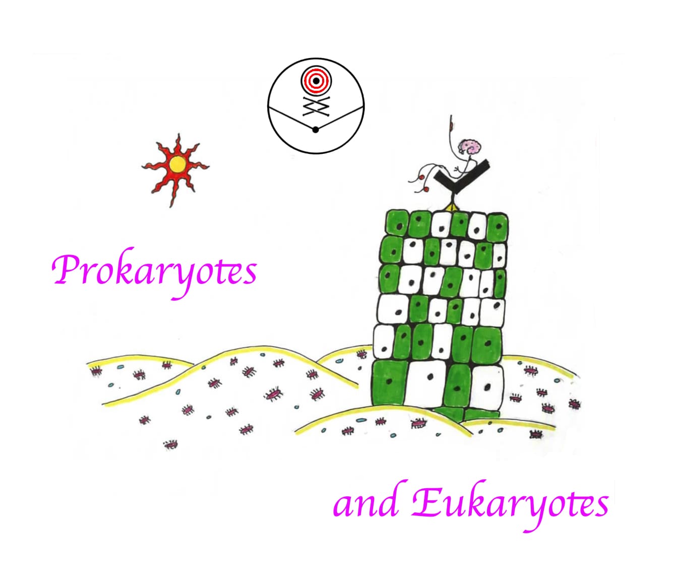 prokaryote