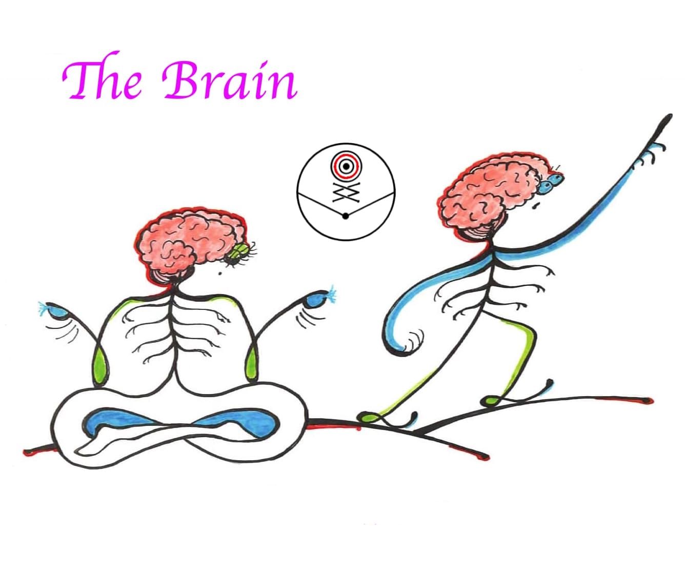 brain-1