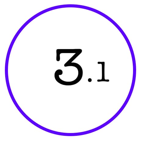 3.1